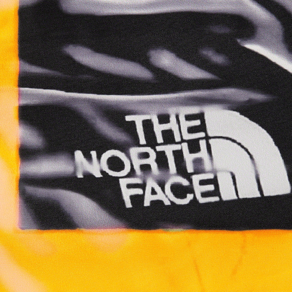 Supreme®/The North Face® Trompe L’oeil Printed Taped Seam Shell Jacket view 4